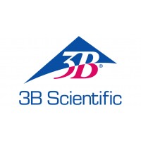 3B SCIENTIFIC